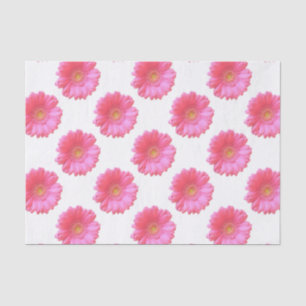 Pink gerbera daisy tissuepapier