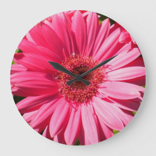 Pink Gerbera Daisy Wall Clock Grote Klok