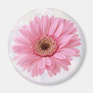 Pink Gerbera fridge Magnet Magneet