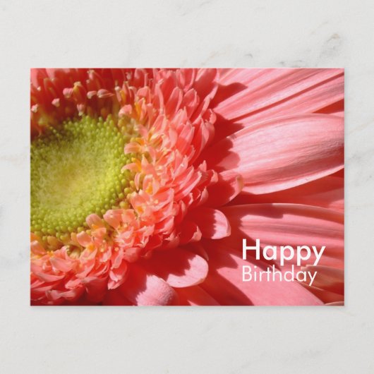 Pink Gerbera - Gelukkige Verjaardag Briefkaart (Voorkant)