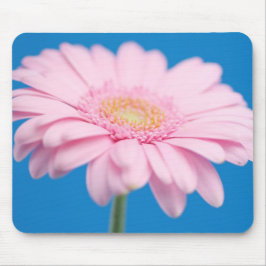 Pink Gerbera Mousepad Muismat