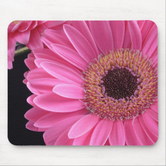 Pink Gerbera Muismat