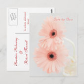 Pink Gerbera Save the Date aangekondigd Briefkaart (Voorkant / Achterkant)