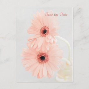 Pink Gerbera Save the Date aangekondigd Briefkaart