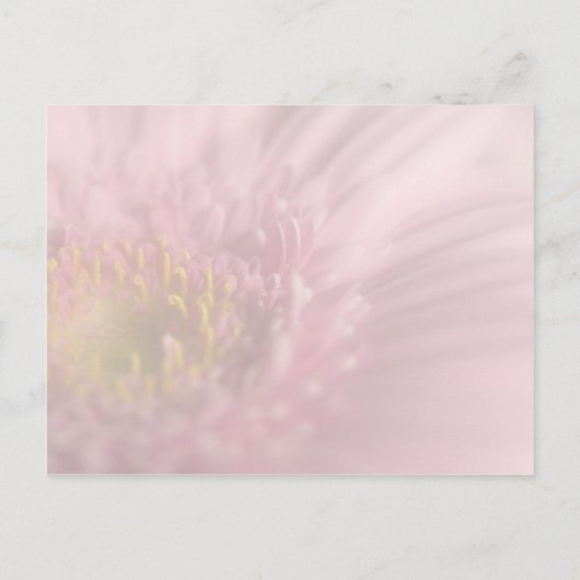 Pink Gerbera · Save the Date Briefkaart (Achterkant)