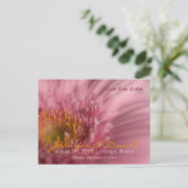 Pink Gerbera · Save the Date Briefkaart (Staand voorkant)