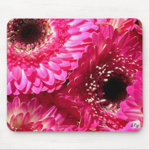 Pink Gerberas Muismat