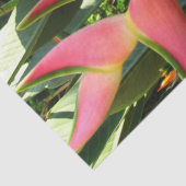 Pink Ginger Heliconia Tissue Paper Tissuepapier (Detail)