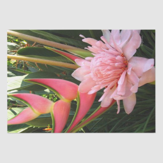 Pink Ginger Heliconia Tissue Paper Tissuepapier (Voorkant)