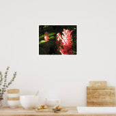 Pink Ginger No Maryann Affiche tropicale Imprimer (Cuisine)