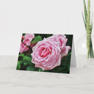Pink Heirloom Rose Écriture Carte 2 Pierre 1:2
