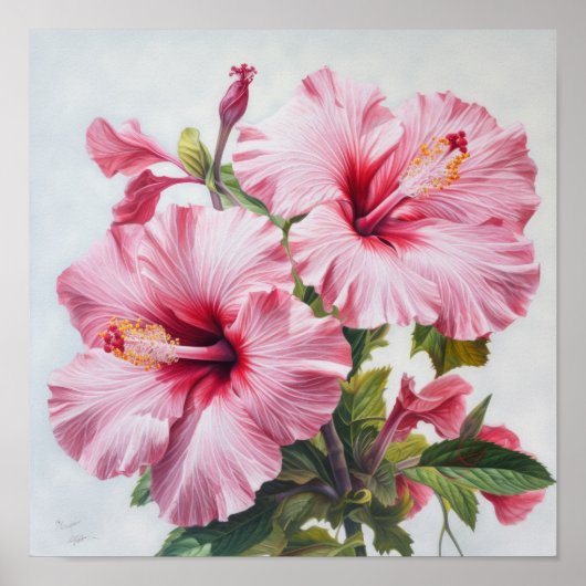 Pink Hibiscus Flower Art Imprimer Poster (Devant)