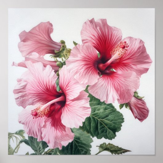 Pink Hibiscus Flower Art Imprimer Poster (Devant)