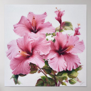 Pink Hibiscus Flower Art Imprimer Poster