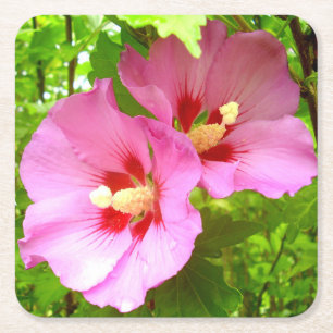 Pink Hibiscus Paper Coaster Vierkante Kartonnen Onderzetter