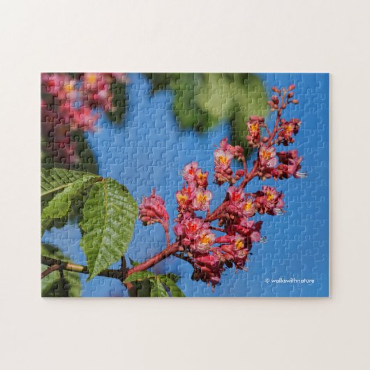 Pink Horse Chestnut Blossom Legpuzzel (Horizontaal)