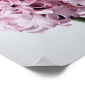 Pink Hyacinth Flower Art Imprimer Poster (Coin)