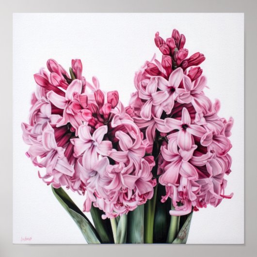 Pink Hyacinth Flower Art Imprimer Poster (Devant)