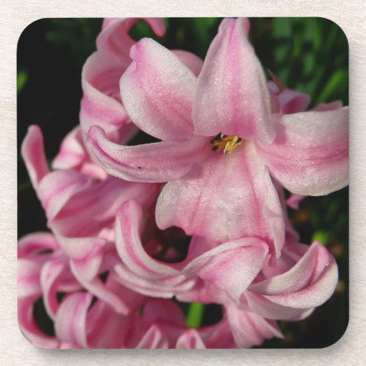 Pink Hyacinth Spring Floral Onderzetter (Voorkant)