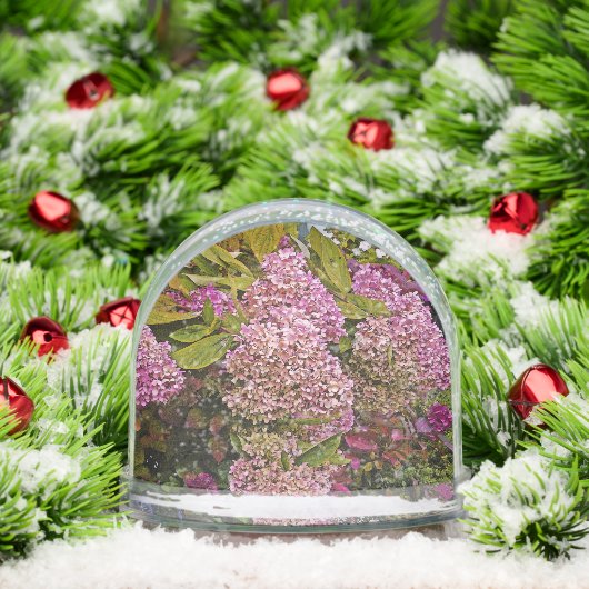 Pink Hydrangea (Noël)