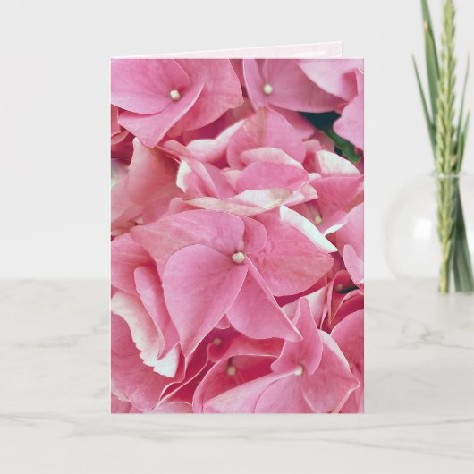 Pink Hydrangea Birthday Kaart (Voorkant)
