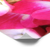 Pink Hydrangea Bouquet Poster S Cyr (Hoek)