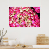 Pink Hydrangea Bouquet Poster S Cyr (Keuken)