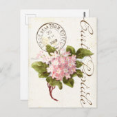 Pink Hydrangea Carte Postale Flower  Frans Briefkaart (Voorkant / Achterkant)