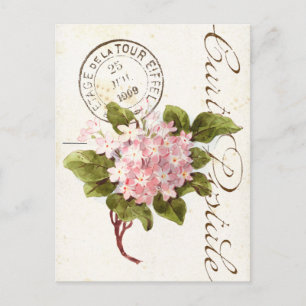 Pink Hydrangea Carte Postale Flower  Frans Briefkaart