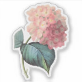Pink Hydrangea Floral Sticker (Voorkant)