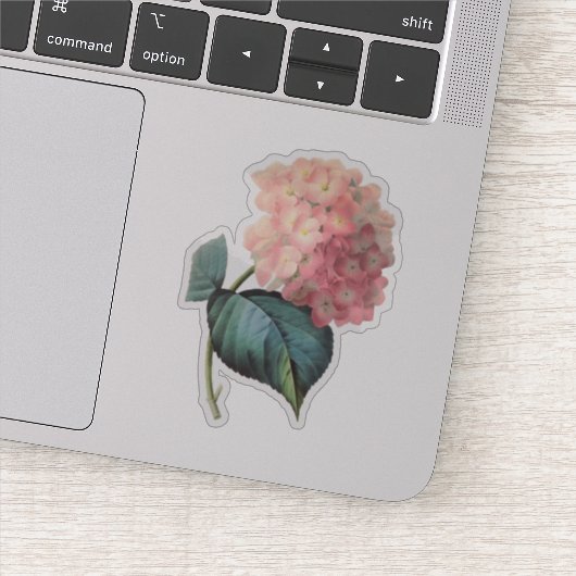 Pink Hydrangea Floral Sticker (Detail)