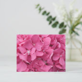 Pink Hydrangea Gros plan do-it-yourself carte post (Debout devant)