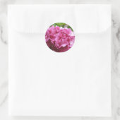 Pink Hydrangea Sticker (Tas)