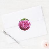 Pink Hydrangea Sticker (Envelop)