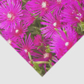 Pink Ice Plant Flowers Floral Tissuepapier (Detail)