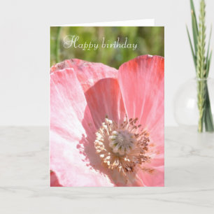 Pink Iceland Poppy III Kaart