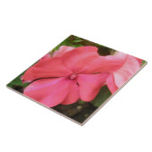 Pink Impatiens Carreau de Macro Fleur (Côté)
