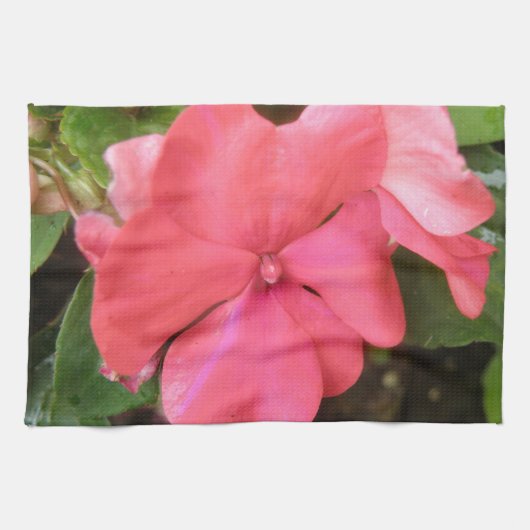 Pink Impatiens Fleur Macro Serviette de cuisine (Horizontal)