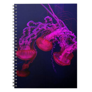 PINK JELLY FISH ONDER ZEE NOTITIEBOEK