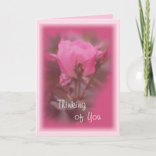 Pink Knockout carte Rose - toute occasion