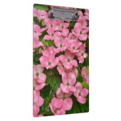 Pink kousa dogwood bloemen klembord (Rechts)