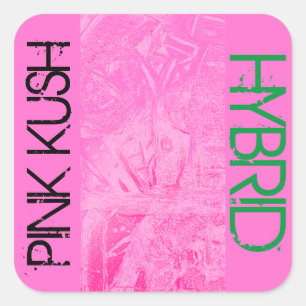 PINK KUSH HYBRID VIERKANTE STICKER