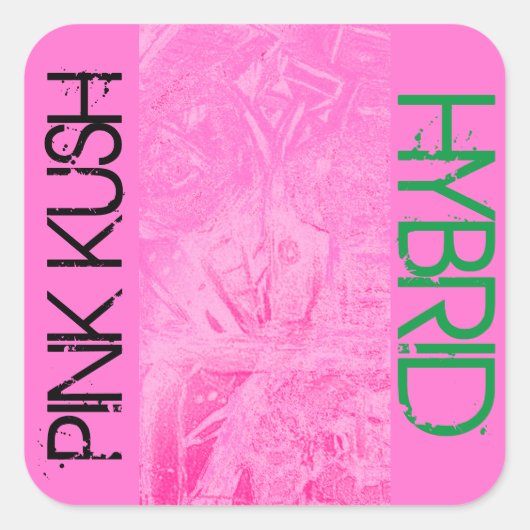 PINK KUSH HYBRID VIERKANTE STICKER (Voorkant)