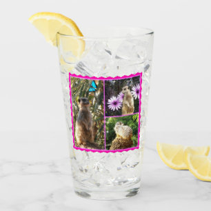 Pink Lacy Meerkat Collarge Glas