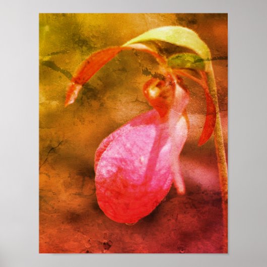 Pink Lady Slipper Orchidee Raindrop Distressed Art Poster (Voorkant)