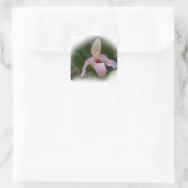 Pink Lady's Slipper Orchid Vierkante Sticker (Tas)