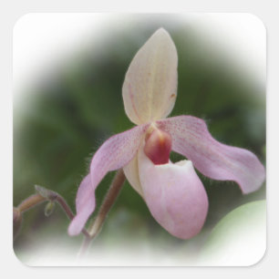 Pink Lady's Slipper Orchid Vierkante Sticker