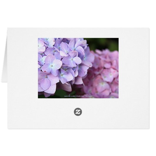 ©Pink & Light Purple Hydrangeas Bloom Blank (Dos Horizontal)