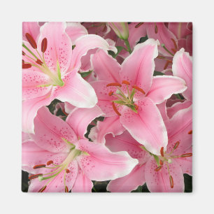 Pink Lillies Magnet Magneet