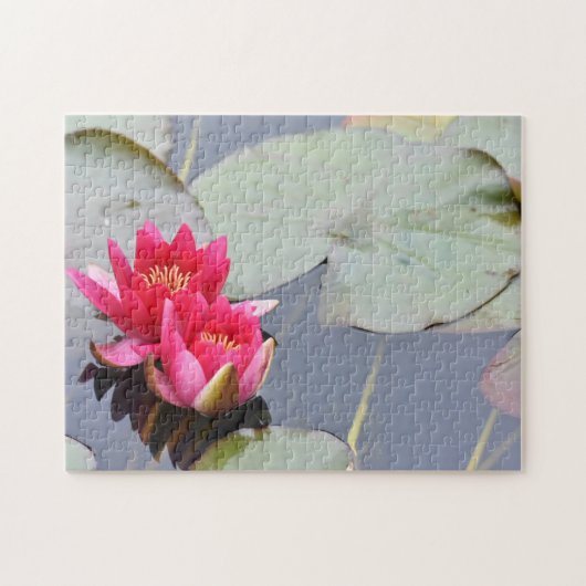 Pink Lilypad Lily Flower Natuur Legpuzzel (Horizontaal)